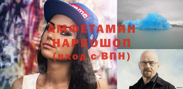 стаф Богданович