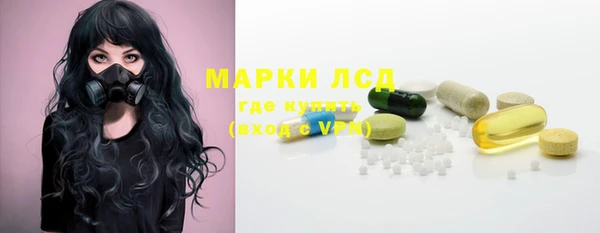 стаф Богданович