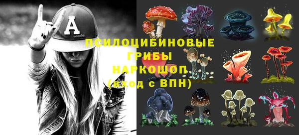 первитин Богородицк